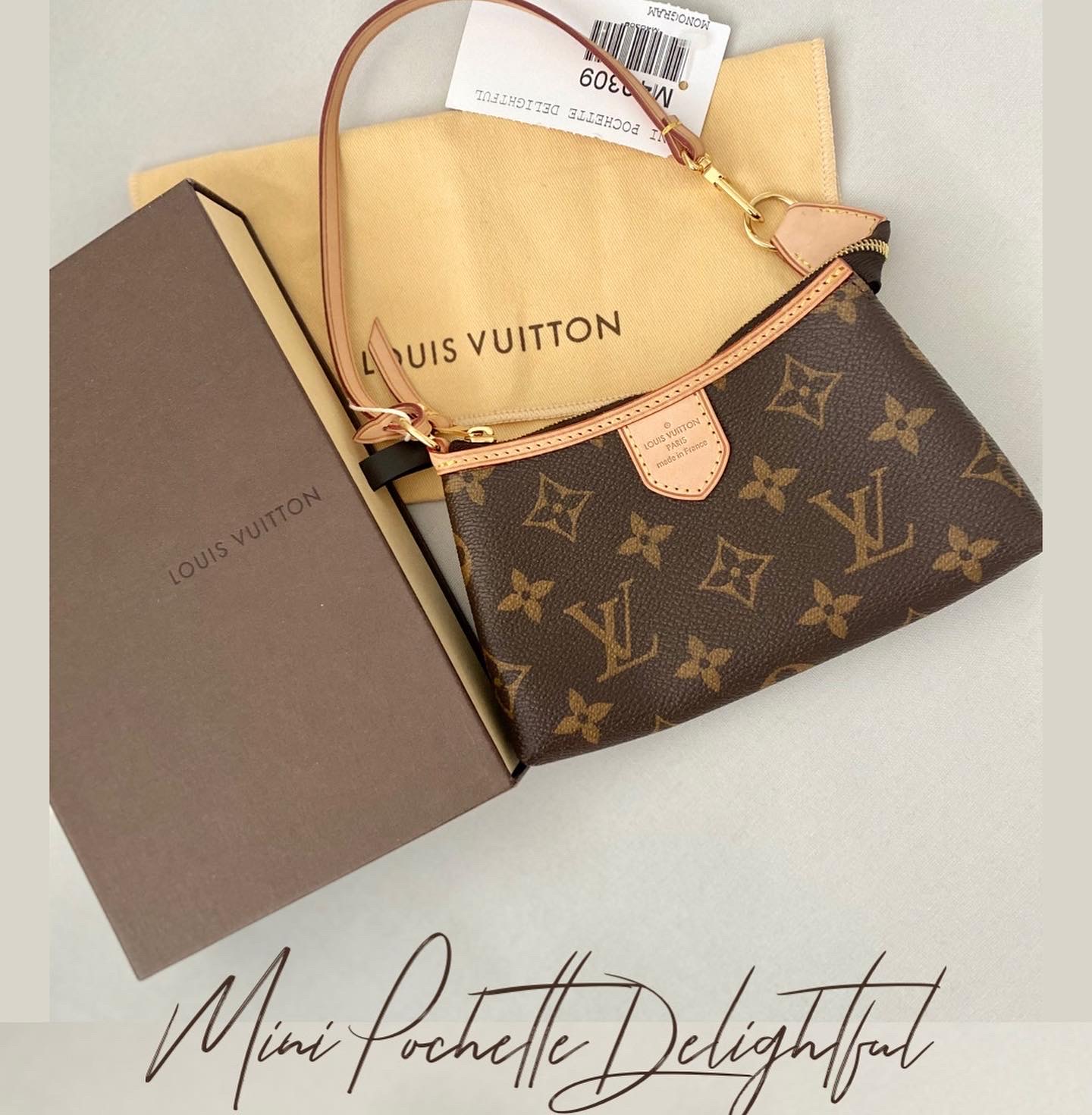 Mini bag LOUIS VUITTON '' extraordinary '' mink monogram - VALOIS